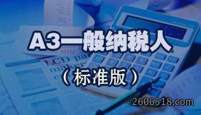 A3一般纳税人（标准版）