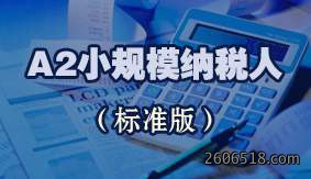A2小规模纳税人（标准版）